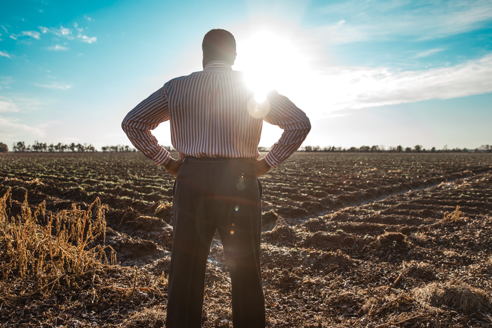 Charles Graham reviewing Cotton Field near old boyhood home